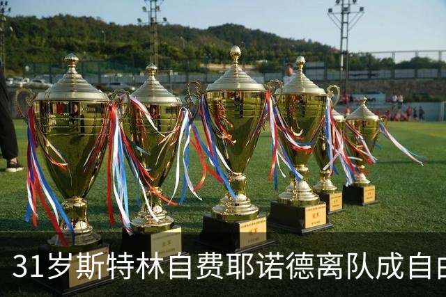 31岁斯特林自费耶诺德离队成自由球员，困扰持续
